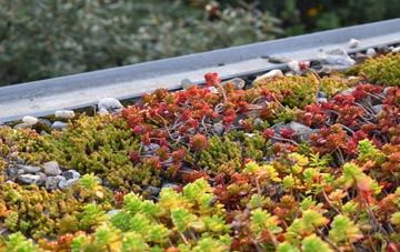 the cost of West Dunnet green roof installation