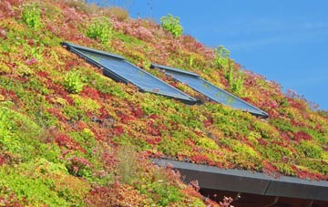 West Dunnet living roof systems